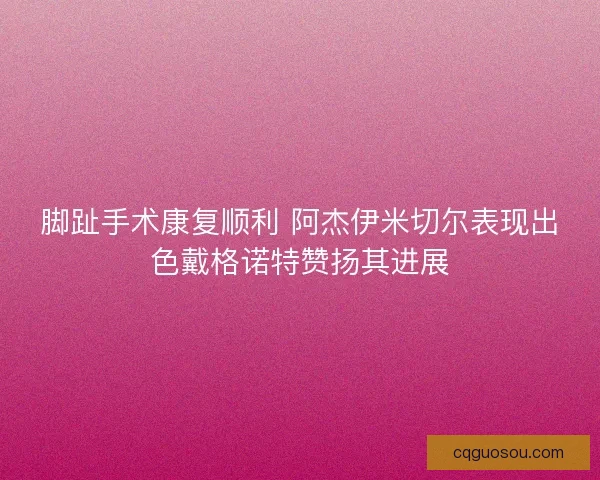 脚趾手术康复顺利 阿杰伊米切尔表现出色戴格诺特赞扬其进展